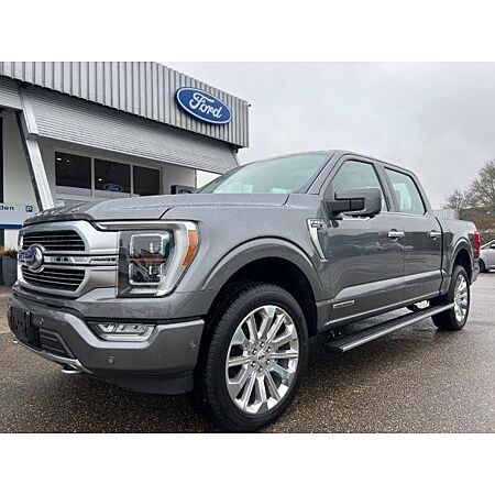 Ford F 150 leasen