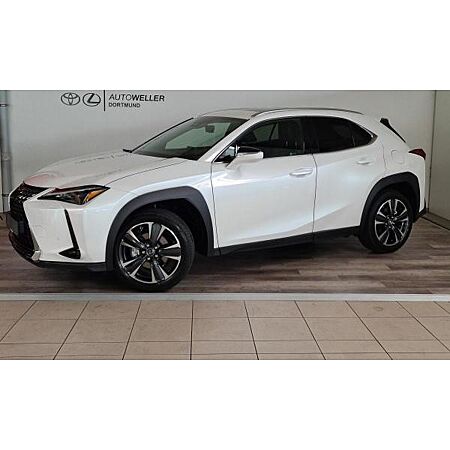 Lexus UX 250h leasen