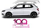 Skoda Fabia Selection Bestellaktion!!!!