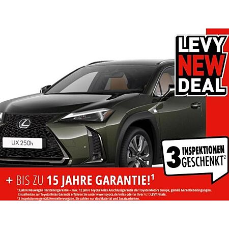 Lexus UX 300h leasen