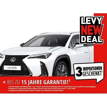 Lexus UX 300h leasen