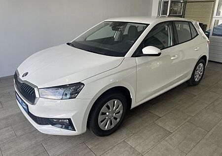 Skoda Fabia 1.0 TSI Ambition 4.J Garantie PDC SHZ LED