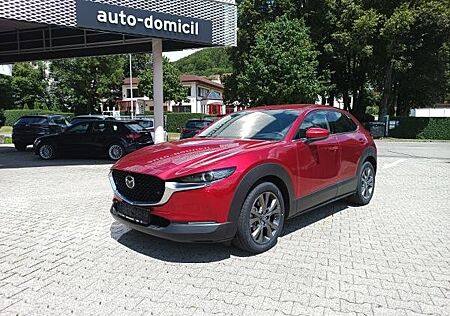 Mazda CX-30 Exclusive-Line 186ps Automatik 360° Kamera Matrix-LED Navi