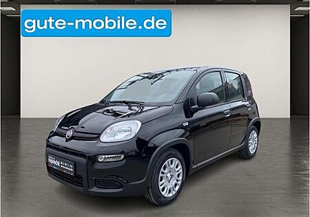 Fiat Panda 1.0 GSE N3 Hybrid (51 KW) 69 PS| Sofort Verfügbar