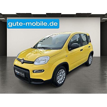 Fiat Panda leasen