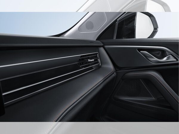MG HS PHEV Luxury (Privat) bild 5