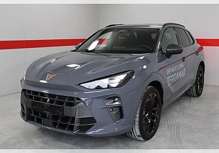 Cupra Terramar VZ | FRÜHJAHRSAKTION | nur Gewerbeleasing -14006