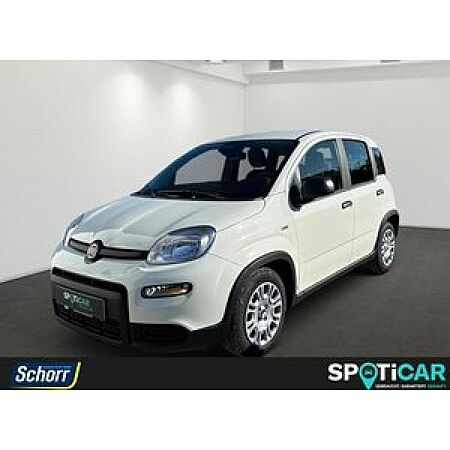 Fiat Panda leasen