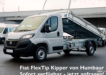 Fiat Ducato Dreiseitenkipper 🚀SOFORT-VERFÜGBAR 🚀