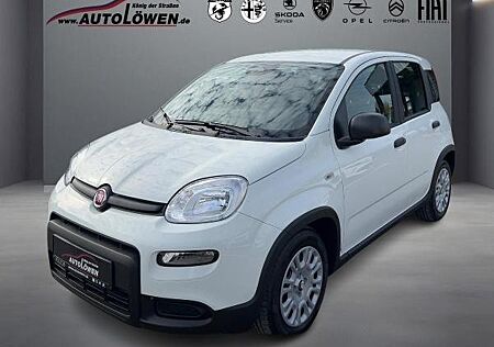 Fiat Panda Sofort Verfügbar!