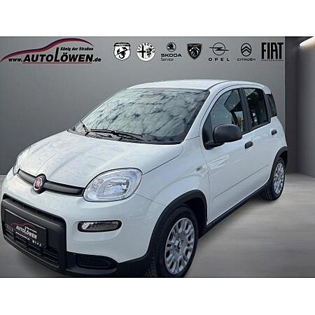 Fiat Panda leasen