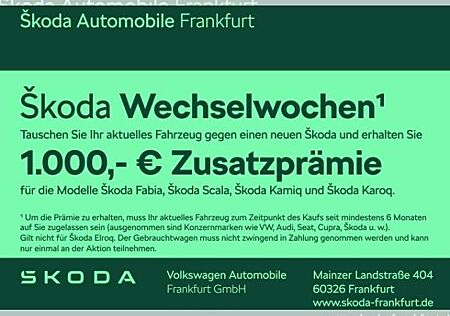 Skoda Kamiq Drive 1,0 TSI DSG €1000 extra sichern