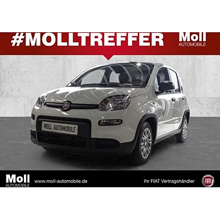 Fiat Panda leasen