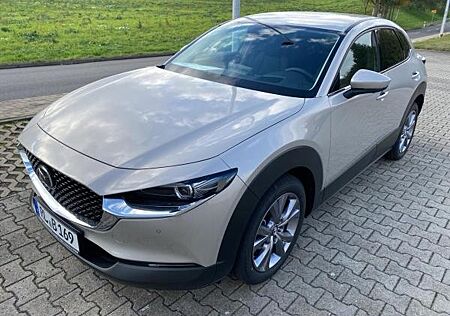 Mazda CX-30 🌞Vorführwagen/ 6 Jahre Garantie/Bose/ wenig KM🌞