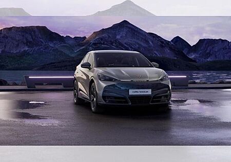 Cupra Tavascan !Bestellaktion! Endurance 210 kW (286 PS) 77 kWh