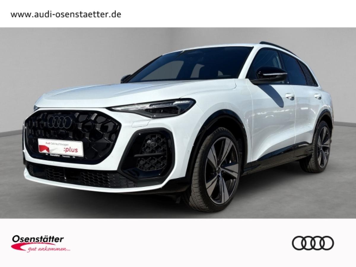 Audi Q5 2,0 TDI qu Matrix Kamera Memory HuD B&O bild