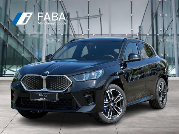 BMW iX2 eDrive20 M Sportpaket HK HiFi DAB LED RFK bild