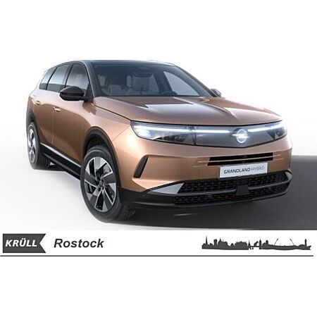 Opel Grandland X leasen