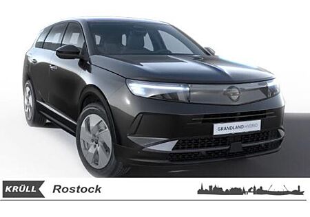 Opel Grandland Edition Automatik+Allwetter+Schwergeschädigten Aktion
