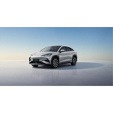 BYD Andere leasen