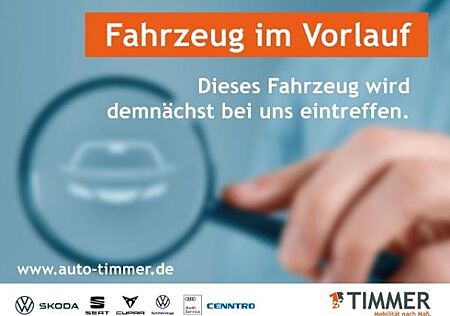 Skoda Fabia 1,0 TSI DSG Selection AHK*Assist.Plus*Wint