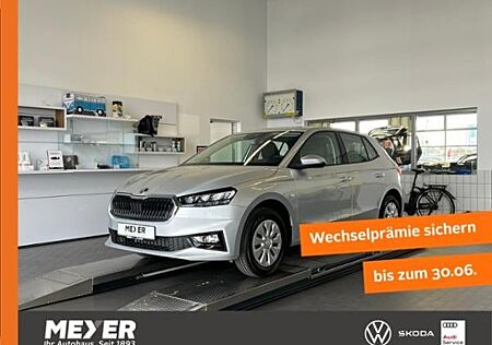 Skoda Fabia Selection 1.0 MPI *Winterpaket,LED*