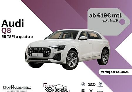 Audi Q8 55 TFSI e quattro 290 kW tiptronic *Bestellaktion*