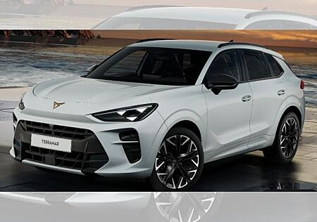 Cupra Terramar VZ VZ 2.0 TSI 195 kW (265 PS) 7-Gang DSG 4Drive Loyalitätsangebot