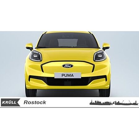 Ford Puma leasen