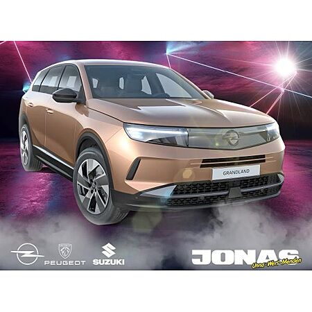 Opel Grandland X leasen