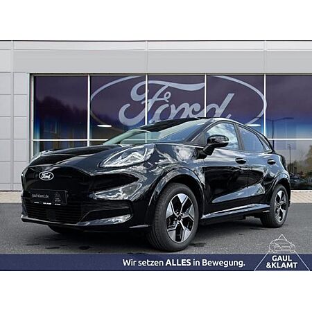 Ford Puma leasen