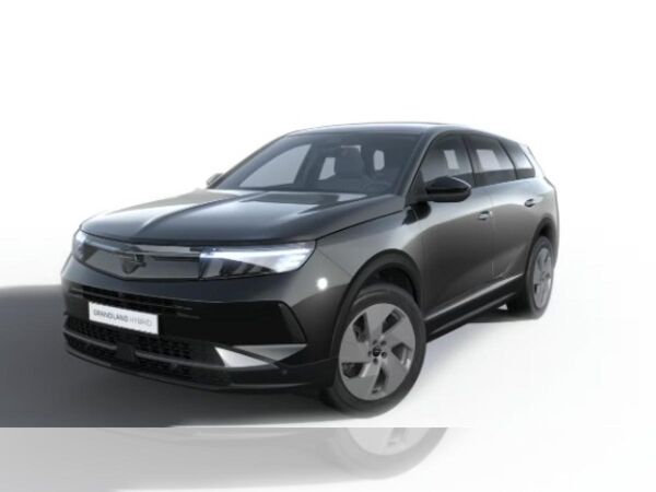 Opel Grandland Edition MHEV PDC*Multimedia*DAB bild 2