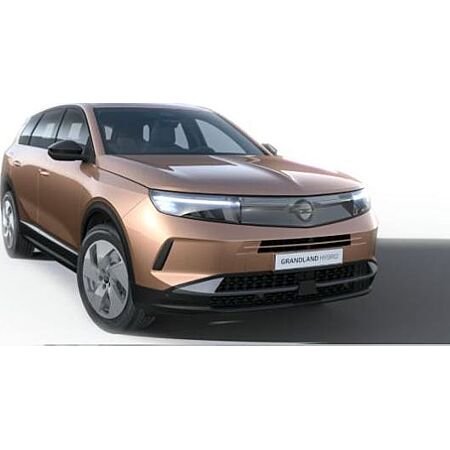 Opel Grandland X leasen
