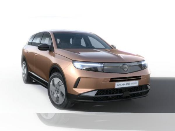 Opel Grandland |‼ZEITNAH VERFÜGBAR‼|💥AKTION💥| bild