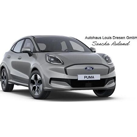 Ford Puma leasen
