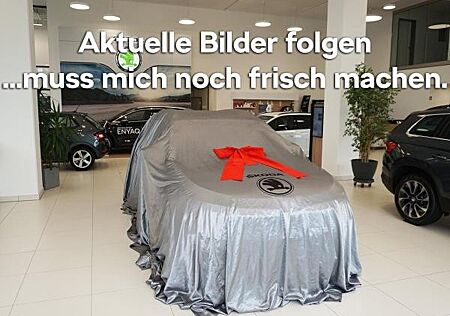 Skoda Elroq 50 Tour ACC NAVI LED DAB RFK NAVI