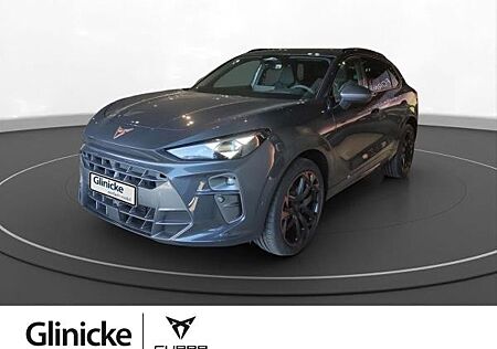 Cupra Terramar 2.0 TSI DSG VZ 4Drive AHK HD Matrix