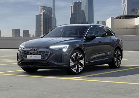 Audi Q8 e-tron 55 quattro S line MatrixLED Luft HuD 360°