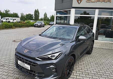 Cupra Terramar VZ 2.0TSI DSG 4Drive AHK Matrix Sennheiser