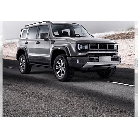 BAIC Andere leasen