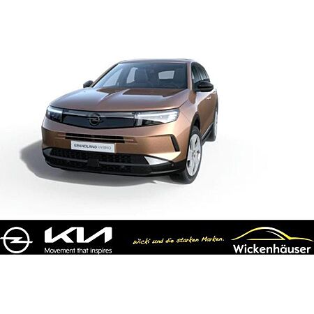Opel Grandland X leasen