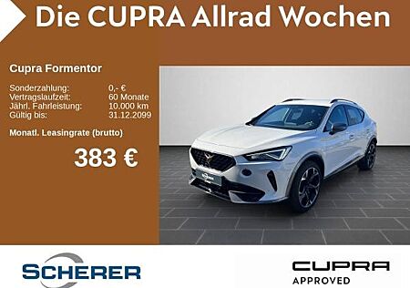 Cupra Formentor VZ 2.0 TSI 4Drive DSG, Rückfahrkamera