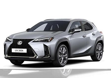 Lexus UX-300h F-Sport Design nur noch silber