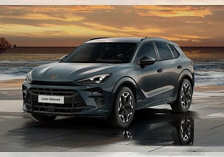 Cupra Terramar VZ 265PS 4Drive AHK|Sennhsr|ACC|el.HK
