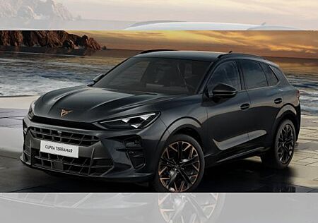 Cupra Terramar 2.0 TSI 195kW VZ DSG 4Drive/ „SOFORT VERFÜGBAR"“