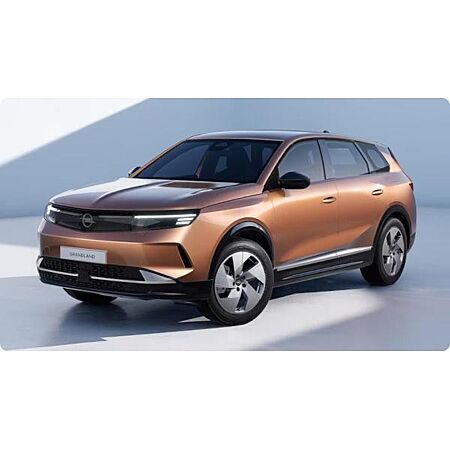 Opel Grandland X leasen