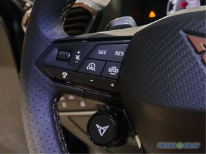 Cupra Formentor Cupra Formentor VZ 333 DSG 4Drive ❗️Loyalitätsprämie❗️ bild 6