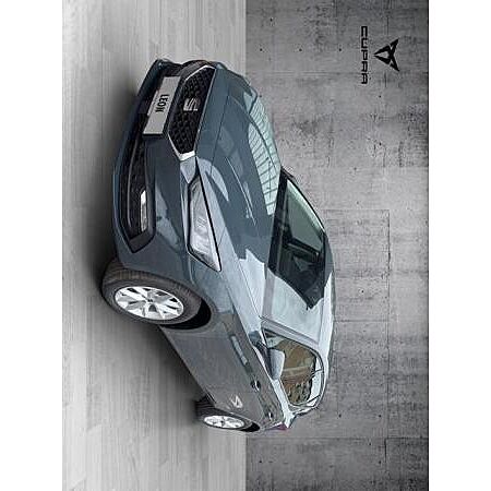 Seat Leon leasen