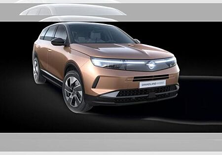 Opel Grandland Electric GS h **Elektrohammer**