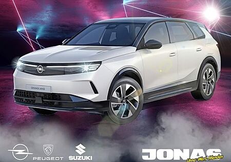 Opel Grandland Electric GS 🧨Gewerbeknaller🧨 AHK Allwetter Heckklappe elektr.